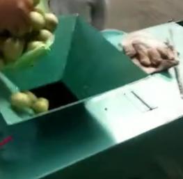 青核桃脫皮機視頻